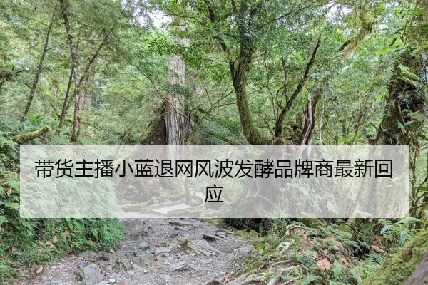 dai-huo-zhu-bo-xiao-lan-tui-wang-feng-bo-fa-jiao-pin-pai-shang-zui-xin-hui-ying-2-116.jpg